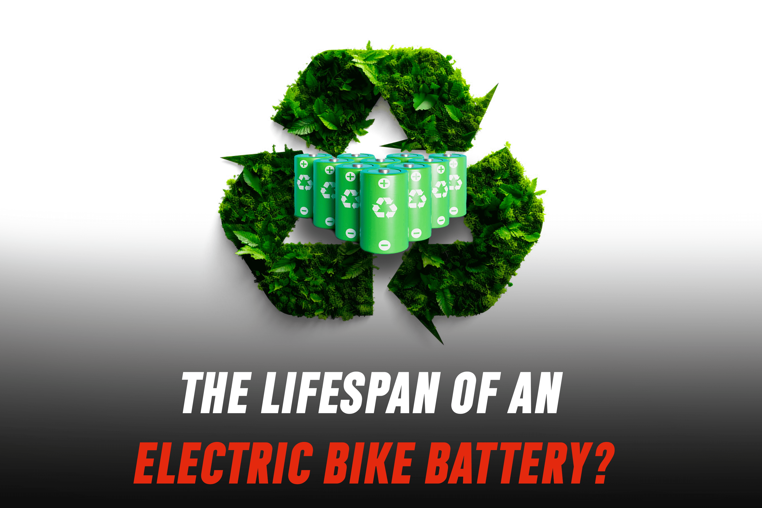 electric bike reserve battery, The Lifespan of an Electric Bike Battery